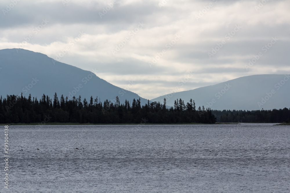 View on White sea cost on Kola arctic - summer on the north of Russia