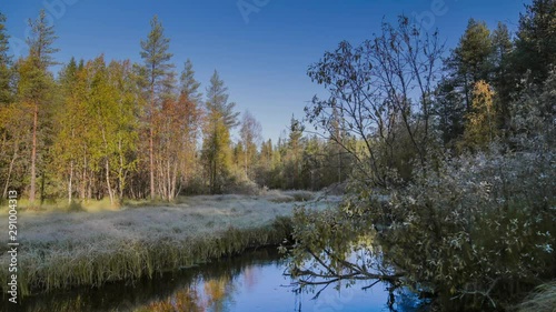 River in forest. Autumn. Sunrise