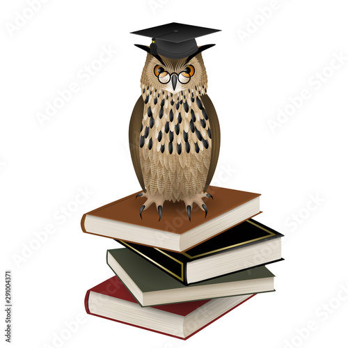 owl with graduation hat over the book vector