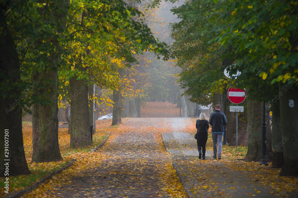 Autumn landscape in the park, forest trees and a lot of yellow, orange leaves, a couple of people in love are going to the park, a carpet, greenish mossy trees, season, colorfull, love, Autumn landscape in the park, forest trees and a lot of yellow, orange leaves, a couple of people in love are going to the park, a carpet, greenish mossy trees, season, colorfull, love,