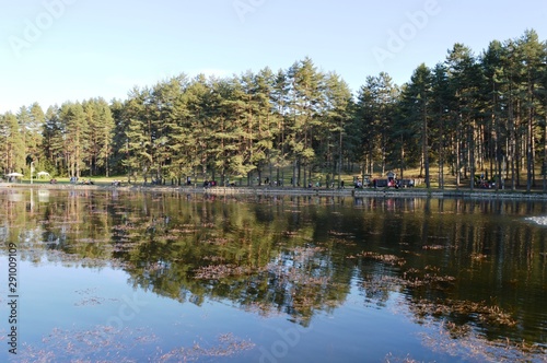 a lake surrounded by forest