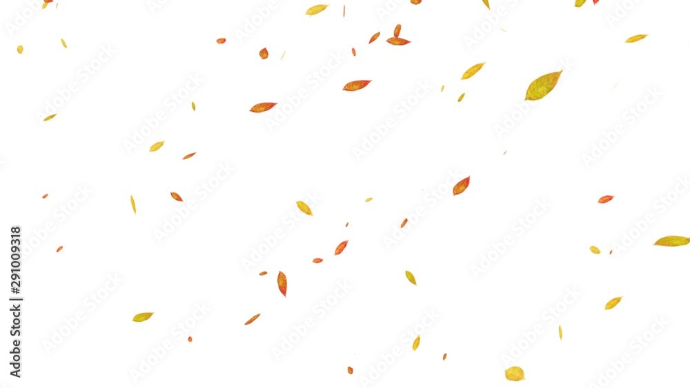Autumn leaves falling on white. Alpha matte. Autumn leaves falling on white. Alpha matte.