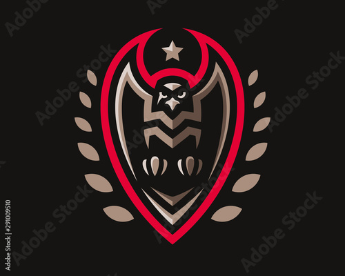 Fototapeta Naklejka Na Ścianę i Meble -   Eagle modern logo. Eagle design emblem template for a sport and eSport team.