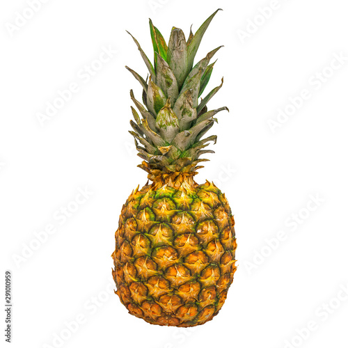 Pineapple close-up 3d rendering with realistic texture