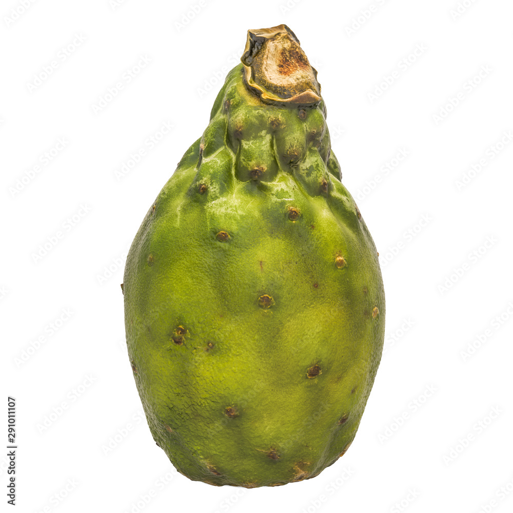 Naklejka premium Cactus pear close-up 3d rendering with realistic texture