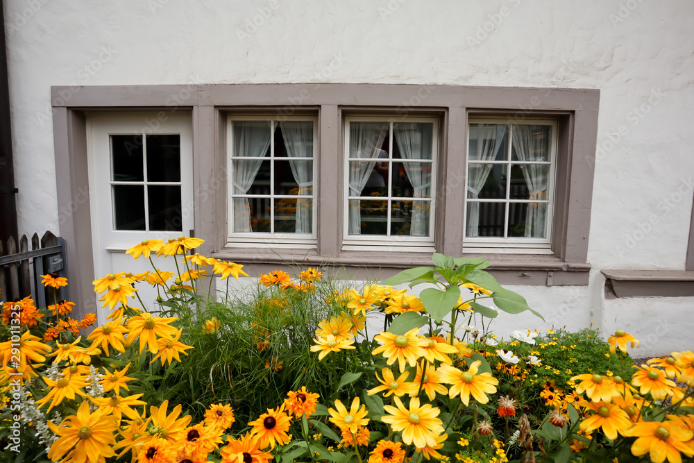 beautiful yellow flowers in front of simple white house with door and beautiful yellow flowers in front of simple white house with door and