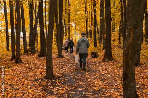 people with bags walk in the autumn forest © Anastasiia 