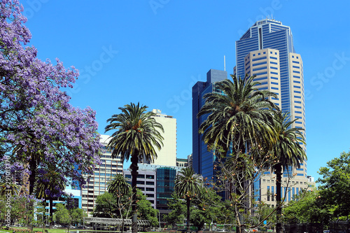 Green oasis with palm and lilac jacaranda trees among skyscrapers in Melbourne, Australia © Ines Porada