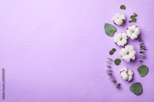 Flat lay composition with cotton flowers on violet background. Space for text