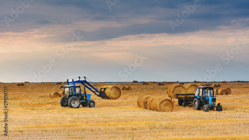 Rustic tractor is loading straw bales in another tractor cart. Autumn haymaking on a wheat field in overcast. Harvesting in a village.