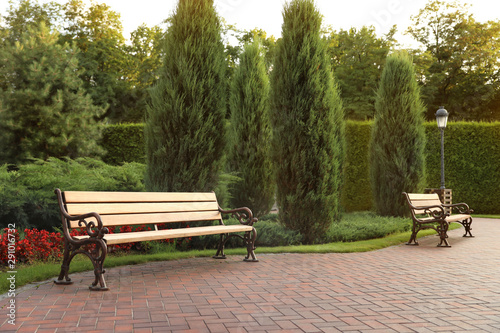 Picturesque landscape with benches on sunny day. Gardening idea