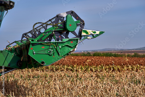 Green harvester, front in the field. Harvesting sorghum. Harvest season. photo