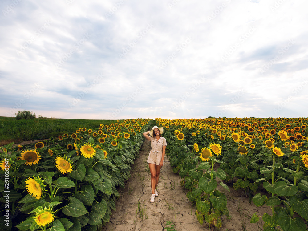 Fototapeta premium Beautiful young woman walking through sunflower field