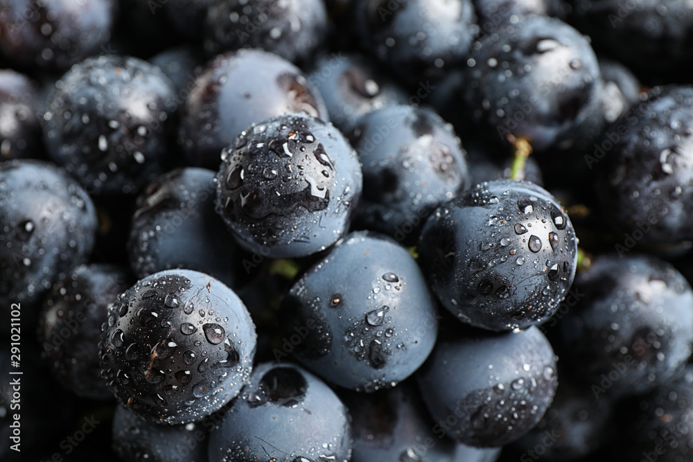 Fresh ripe juicy black grapes as background, closeup view Fresh ripe juicy black grapes as background, closeup view