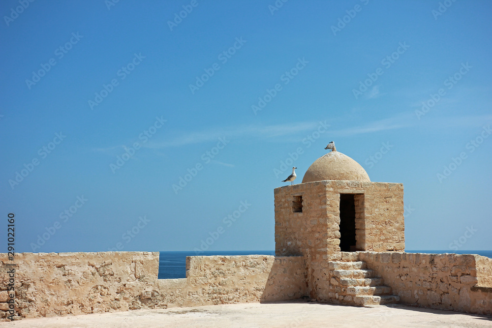 Two seagulls at ribat in Tunisia Two seagulls at ribat in Tunisia