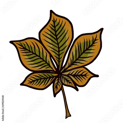 cartoon style drwaing of a single chestnut leaf in autumn colors