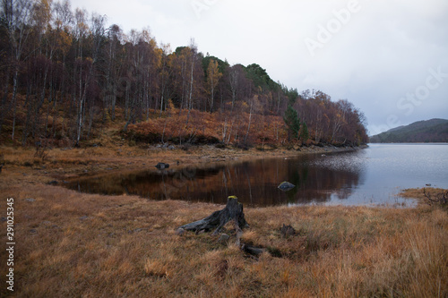 autumn and fall coloured trees on the shore of a lake with tree stump photo