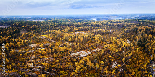 Autumn forest. Bright aeria...