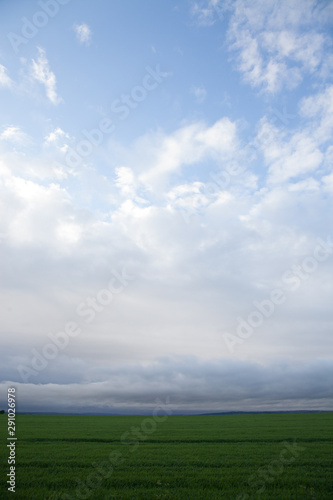 green field with tractor tracks and blue sky with clouds photo