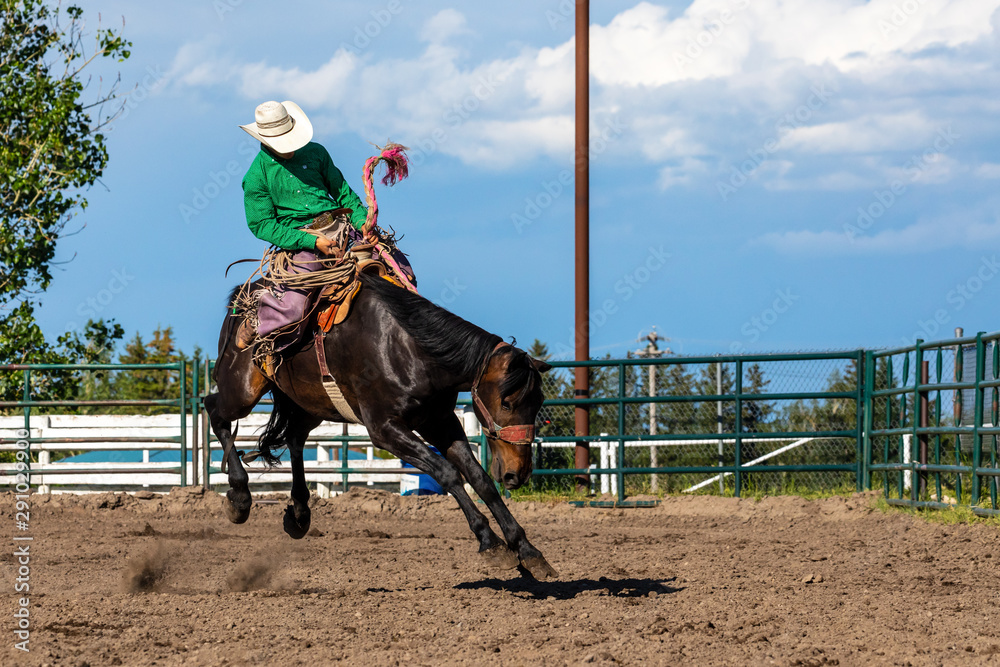 Fotografie Rodeo Bronco Riding in Canada