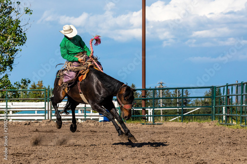 Fotografía Rodeo Bronco Riding in Canada