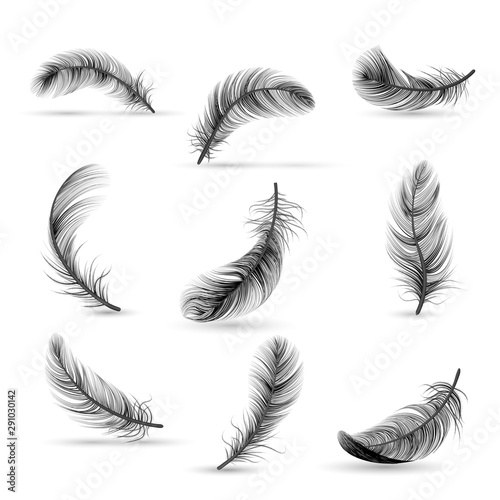 Realistic Feather Black Icon Set