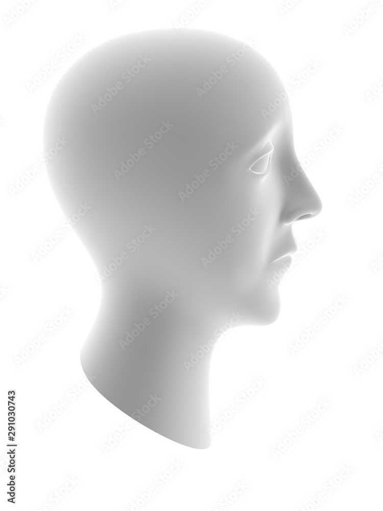 The geometry of a head. 3D Illustration.