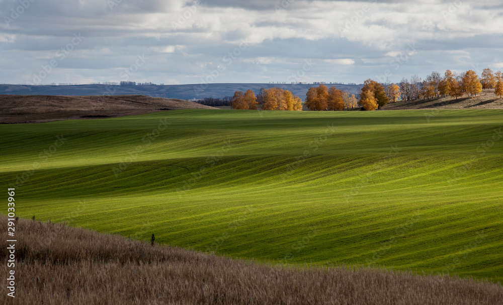 Panorama of a green field in autumn in the countryside