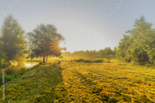 Fototapeta Naklejka Na Ścianę i Meble -  Beautiful backlight spring landscape picture with warm colors or sunrise and misty atmosphere in the nature park Heempark and along Kromme Aar in Alphen aan den Rijn
