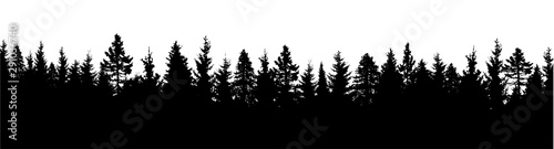 Forest silhouette. Wood background. Vector illustration
