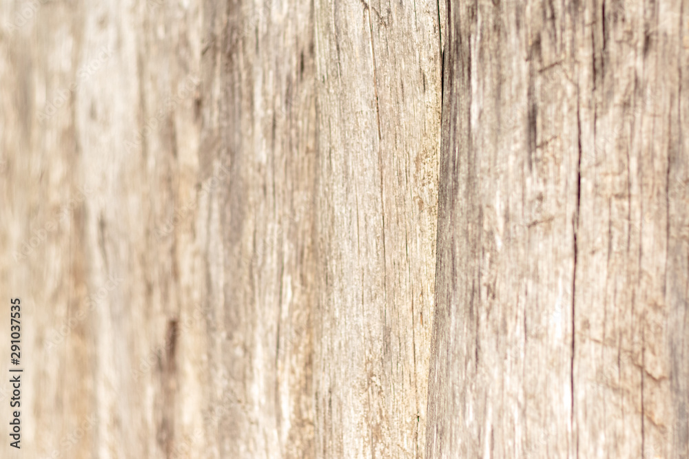texture of old wood used as natural background texture of old wood used as natural background