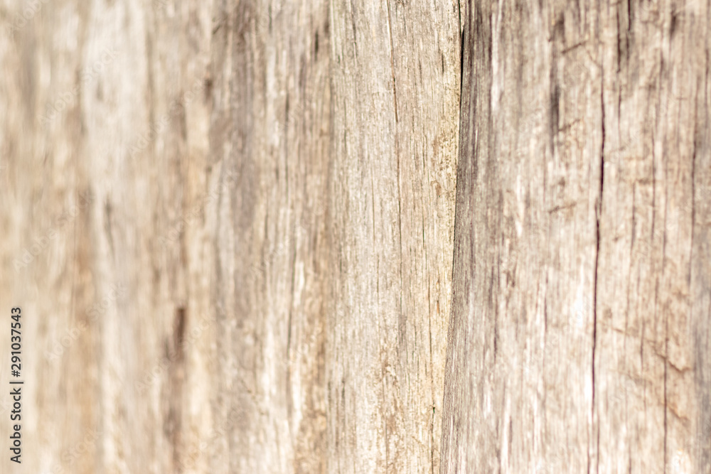 texture of old wood used as natural background