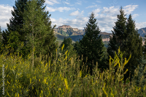 Squaretop Mountain seen through woods in the San Juan National Forest. photo