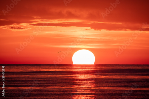 Beautiful red and orange sunset over the sea. The sun goes down over the sea. Two seagulls are flying against the sunset. © Dmitrii Potashkin