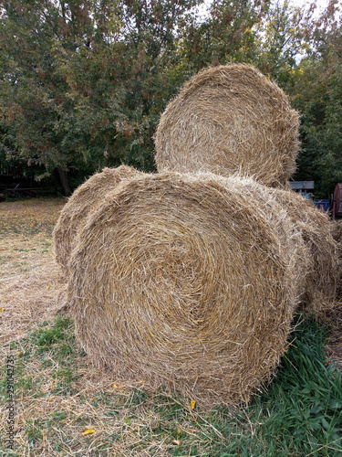 round haystacks collected