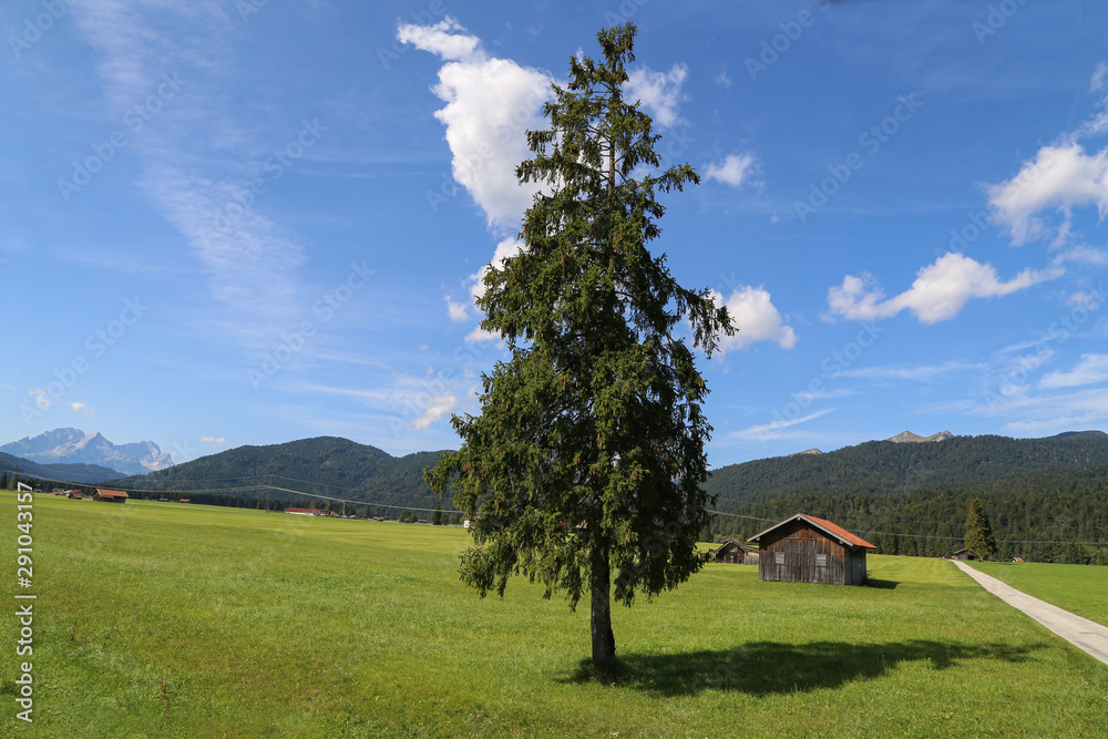 Mountain huts on green meadows in the Alps Mountain huts on green meadows in the Alps