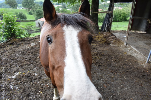 Caballos de Ramiseto