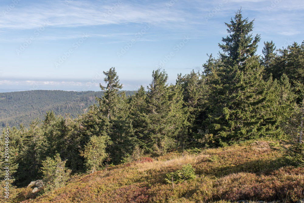 hiking in the bavarian mountains