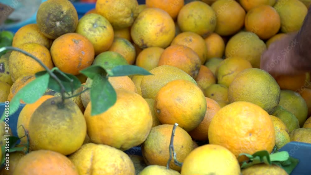 Hand arranging lemons on display at local market. Handeld. High angle Hand arranging lemons on display at local market. Handeld. High angle