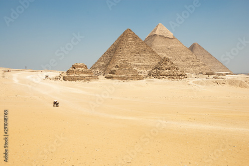 Horse drawn carts near Giza pyramids