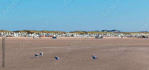 Tableau sur toile Strandhäuser in IJmuiden - Möwen auf dem Strand im Vordergrund - blauer Himmel w