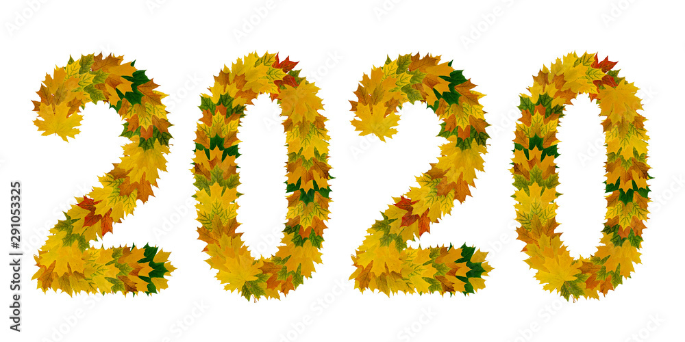 Figures 2020 from yellow, green and orange maple autumn leaves close-up. Isolate on white background Figures 2020 from yellow, green and orange maple autumn leaves close-up. Isolate on white background