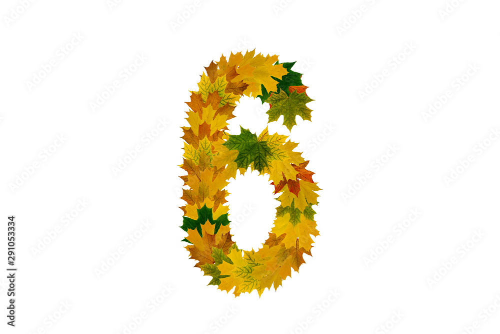 Digit 6 from autumn maple leaves isolated on white background. Alphabet from green, yellow and orange leaves Digit 6 from autumn maple leaves isolated on white background. Alphabet from green, yellow and orange leaves