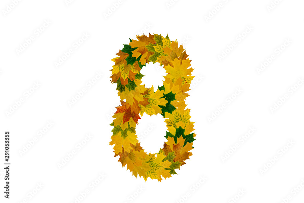 Digit 8 from autumn maple leaves isolated on white background. Alphabet from green, yellow and orange leaves Digit 8 from autumn maple leaves isolated on white background. Alphabet from green, yellow and orange leaves