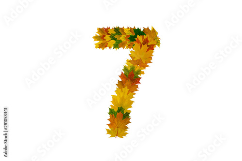 Digit 7 from autumn maple leaves isolated on white background. Alphabet from green, yellow and orange leaves