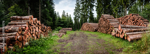 Holz Stapel Forstarbeit