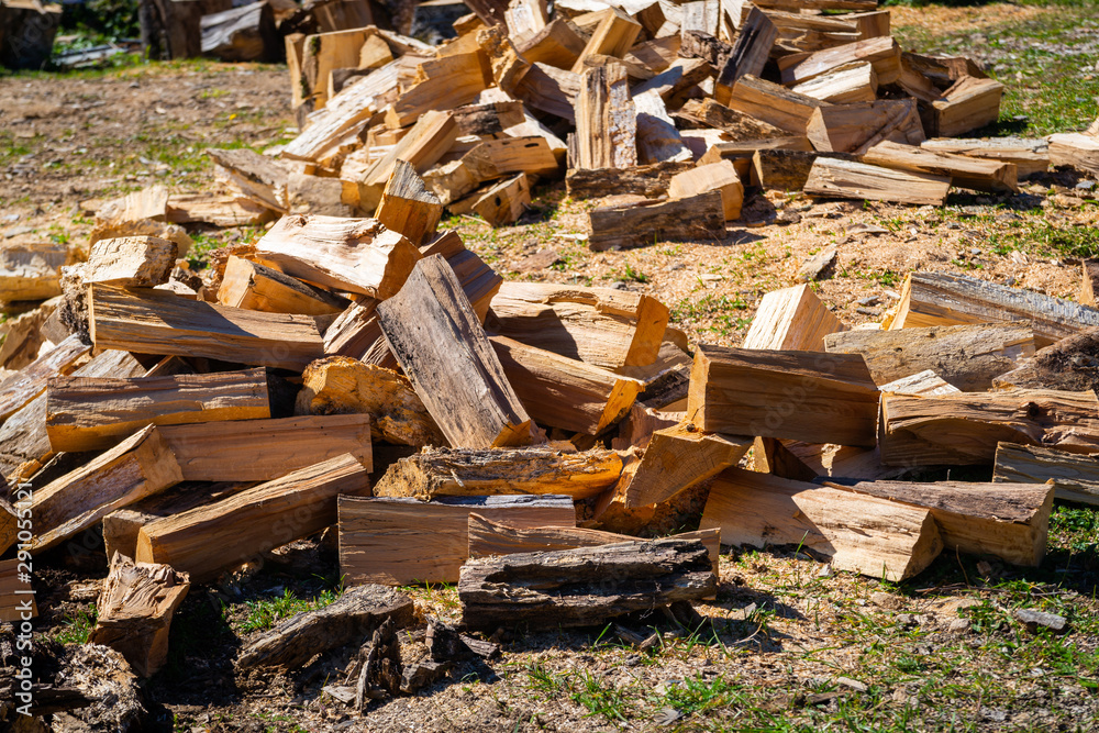 Firewood on farm yard on a glade in the summer Firewood on farm yard on a glade in the summer