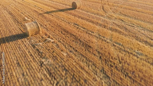 Drone video over a prairie wheat field that has been harvested and now has round bales of straw casting long shadows.  Drone is at a low height and moving fast across the direction of the rows.