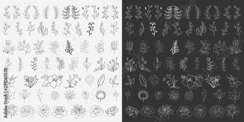 Hand Drawn Floral Elements Vector