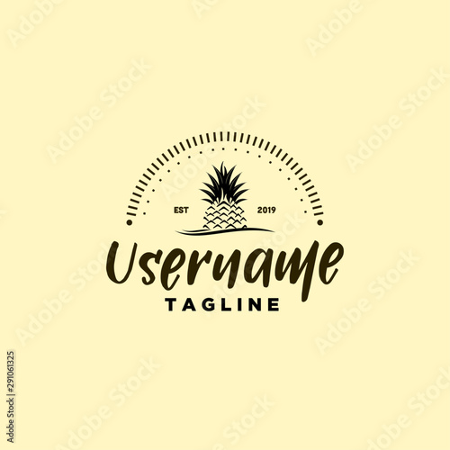 classic pineapple logo design inspiration .  pineapple logo design inspiration . vintage pineapple logo template